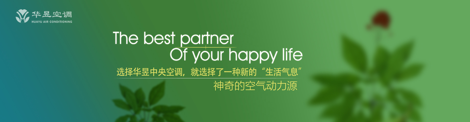 求同存异网